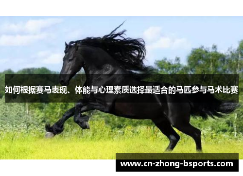 如何根据赛马表现、体能与心理素质选择最适合的马匹参与马术比赛
