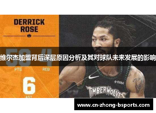 维尔杰加盟背后深层原因分析及其对球队未来发展的影响